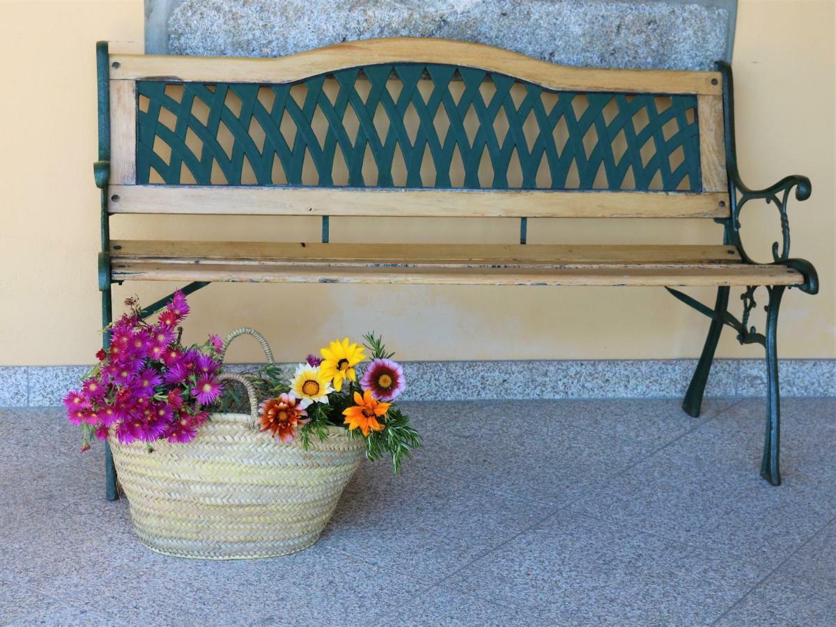 Lovely Sunny-House Viana do Castelo Luaran gambar