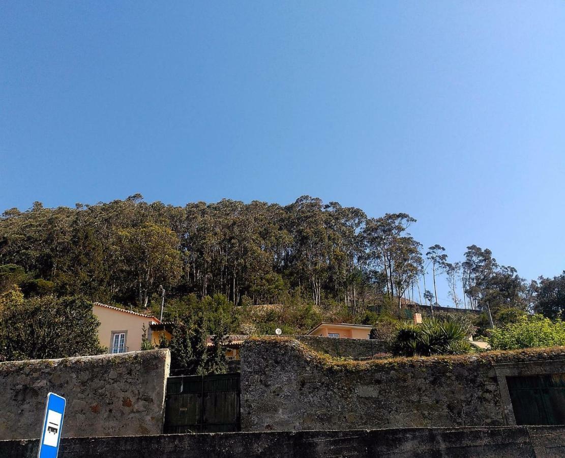 Lovely Sunny-House Viana do Castelo Luaran gambar